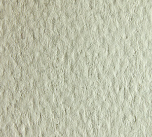 Cartulina Fedrigoni Tintoretto Ceylon Sesamo 250 gr.