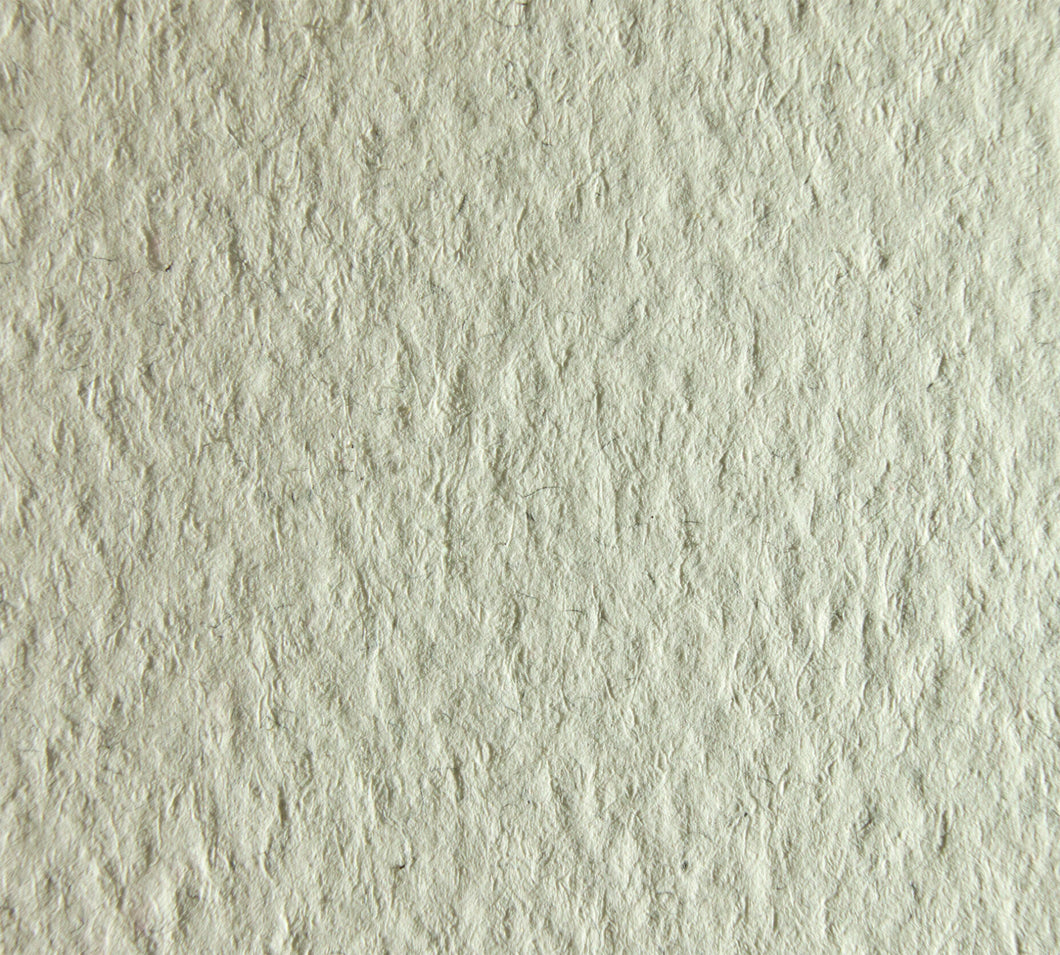Cartulina Fedrigoni Tintoretto Ceylon Sesamo 250 gr.