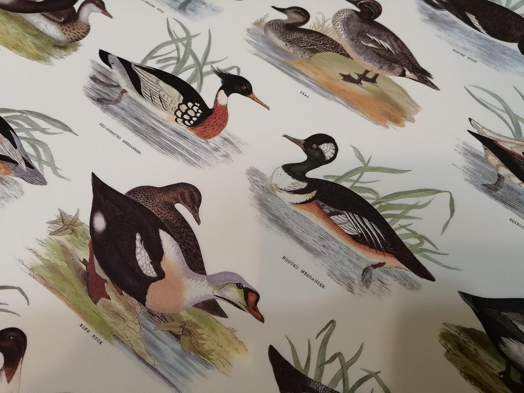 Papeles decorados Tassotti - Patos